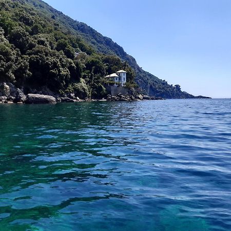 Villa Albachiara คาโมยลี ภายนอก รูปภาพ