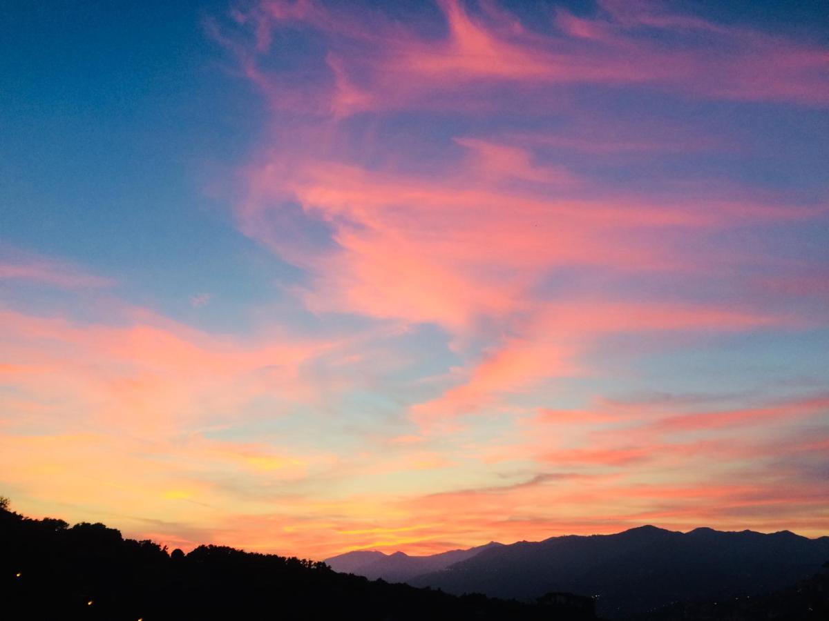 Villa Albachiara คาโมยลี ภายนอก รูปภาพ