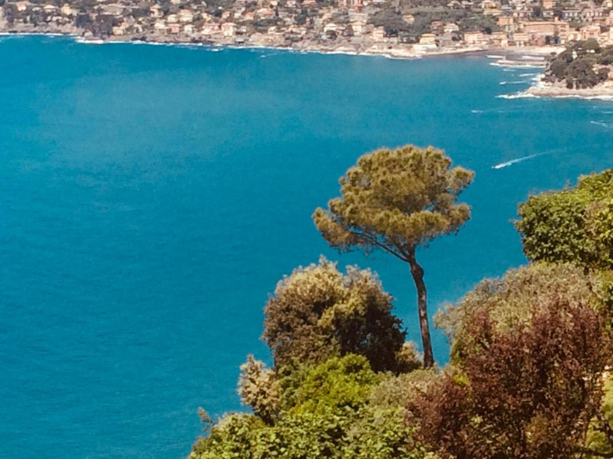 Villa Albachiara คาโมยลี ภายนอก รูปภาพ
