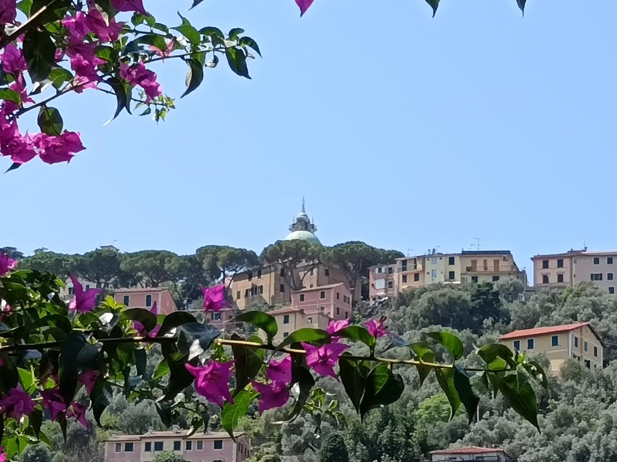 Villa Albachiara คาโมยลี ภายนอก รูปภาพ