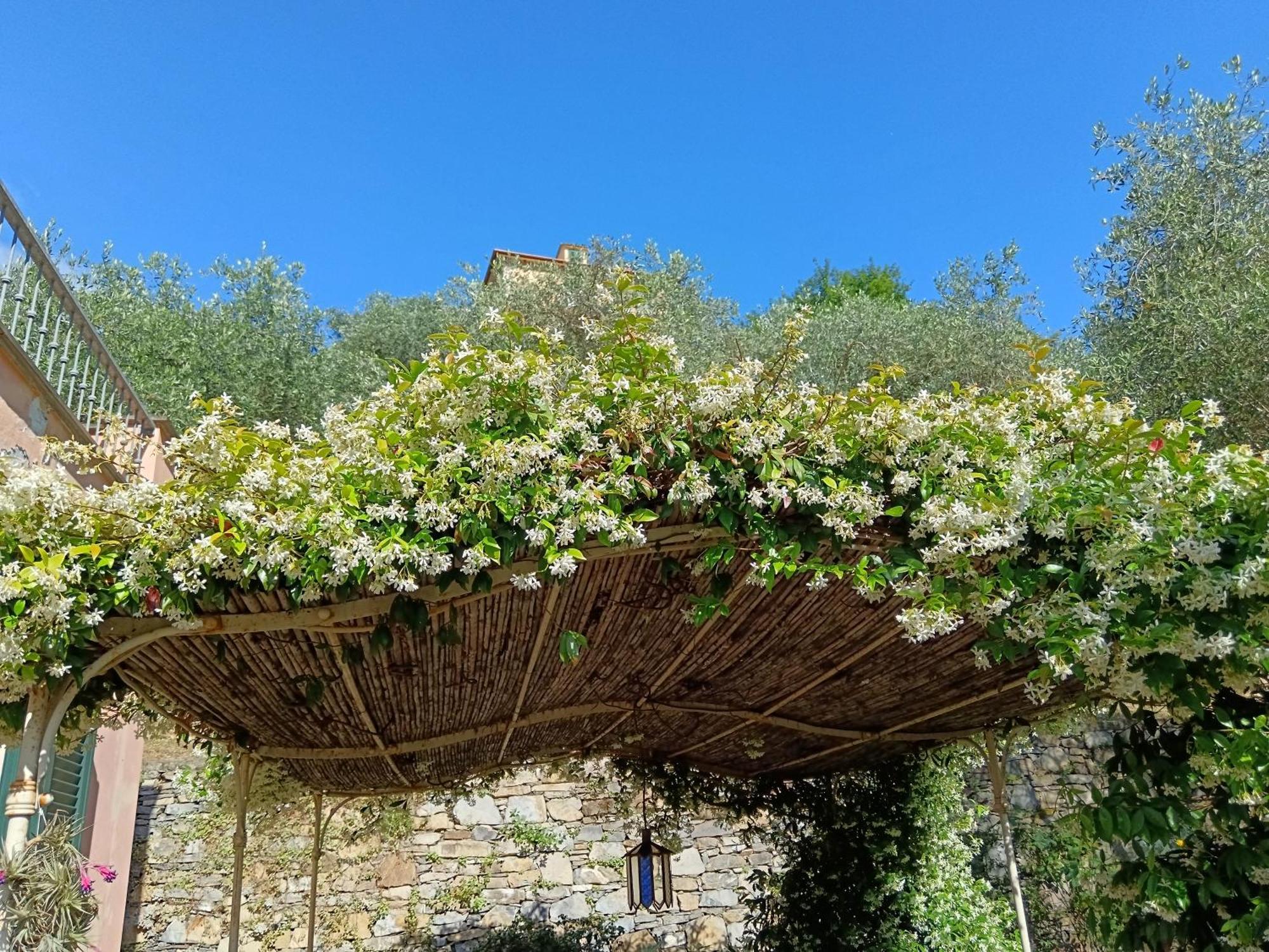 Villa Albachiara คาโมยลี ภายนอก รูปภาพ