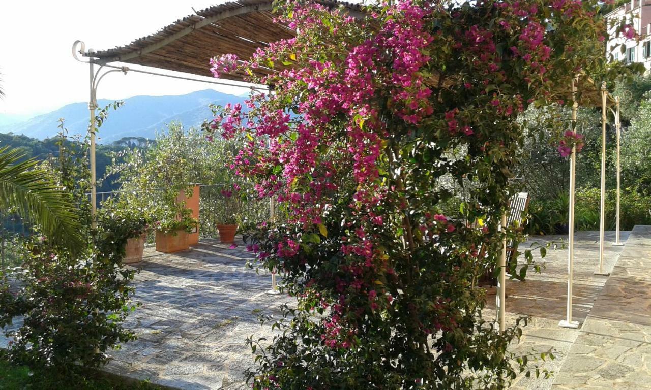 Villa Albachiara คาโมยลี ภายนอก รูปภาพ
