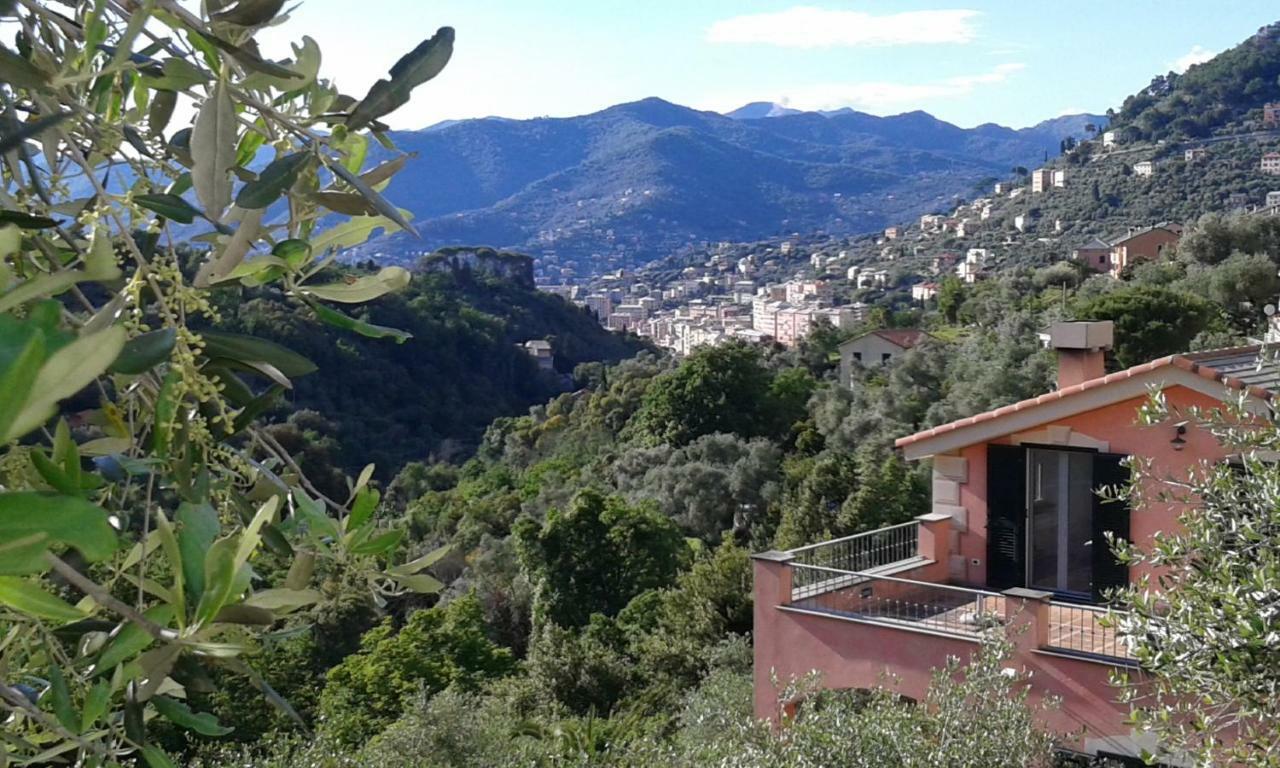 Villa Albachiara คาโมยลี ภายนอก รูปภาพ
