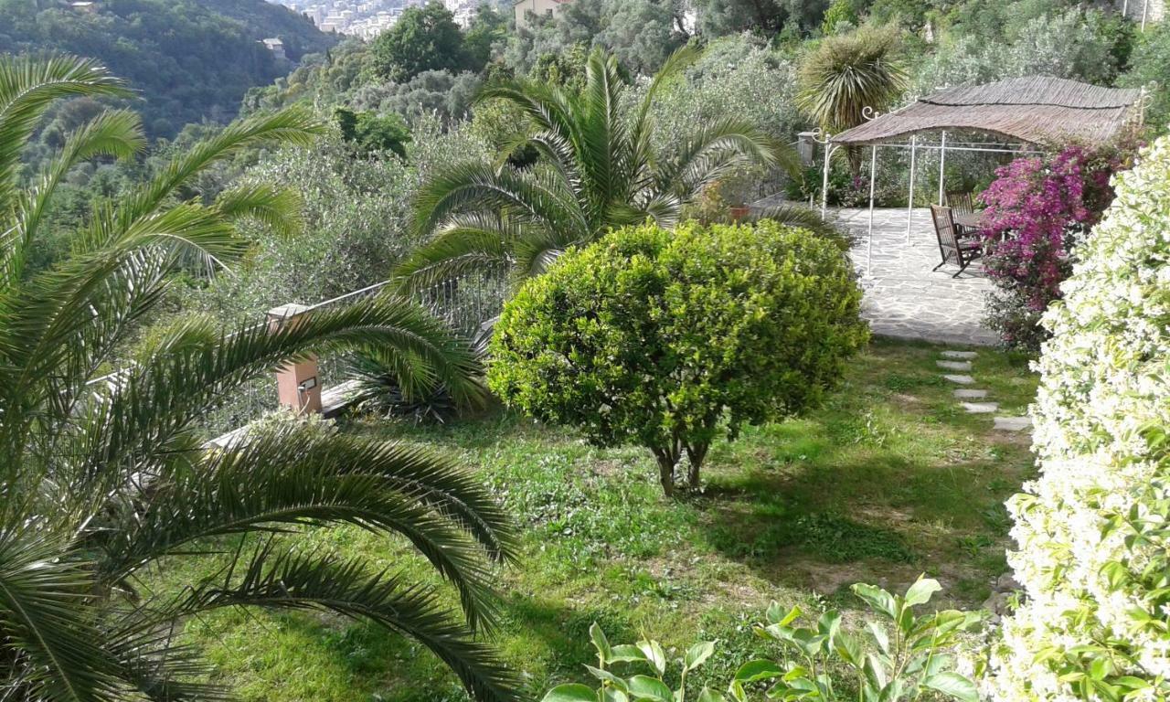 Villa Albachiara คาโมยลี ภายนอก รูปภาพ